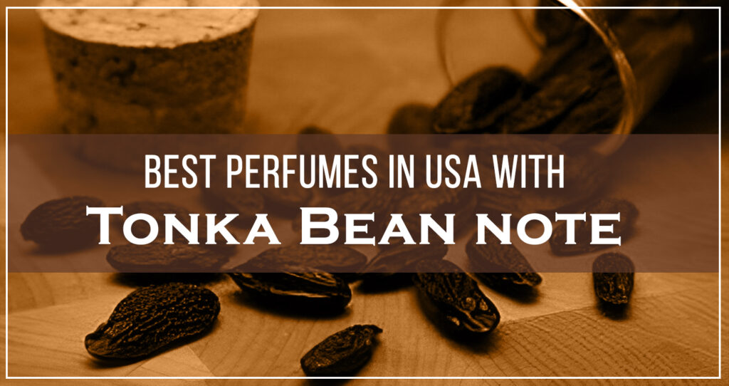 Best-Perfumes-in-USA-with-Tonka-Bean-note-1.jpg