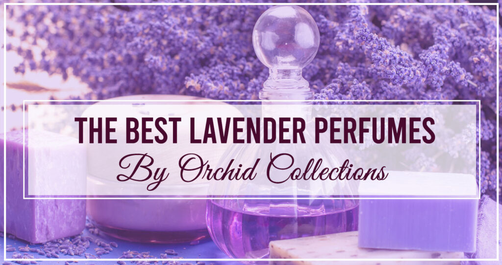 The Best Lavender Perfumes by Orchid Collections