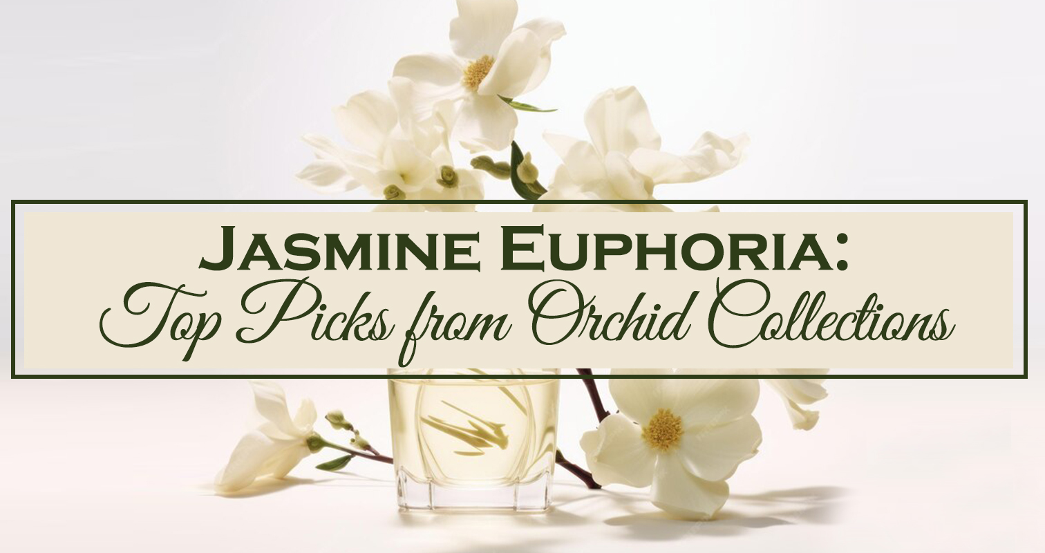 Jasmine Euphoria: Top Picks from Orchid Collections 