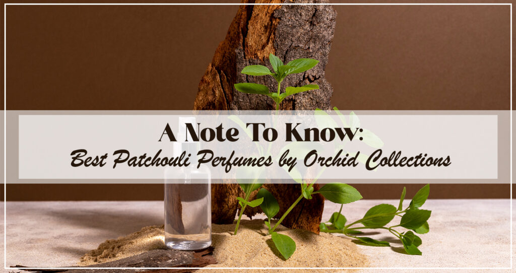 A Note To Know Best Patchouli Perfumes by Orchid Collections