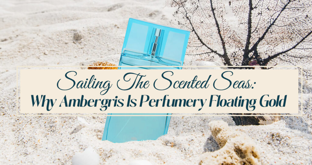 Sailing The Scented Seas Why Ambergris Is Perfumery Floating Gold